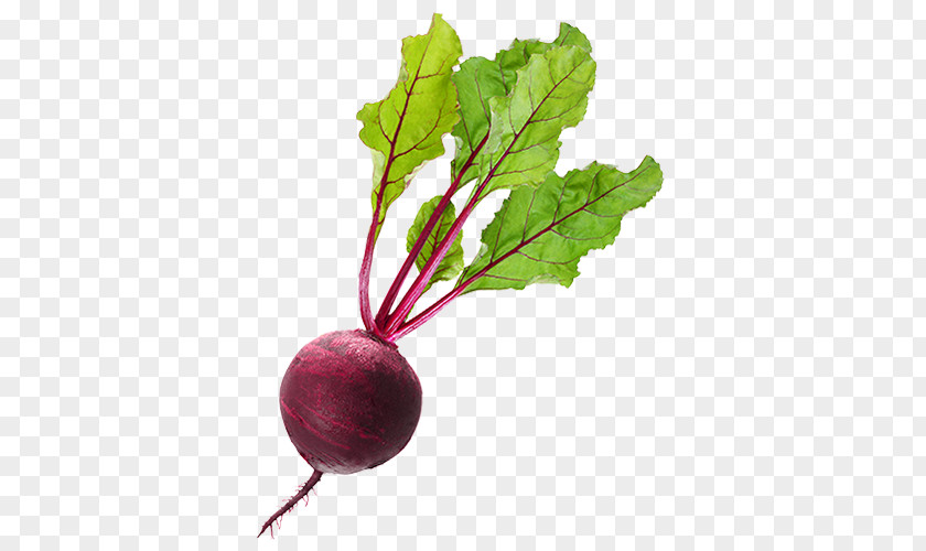 Vegetable Beetroot Juice Food PNG