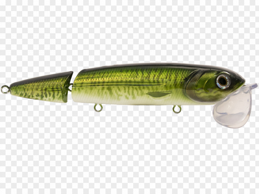 Hook Ups Sardine Northern Pike Spoon Lure Oily Fish Perch PNG