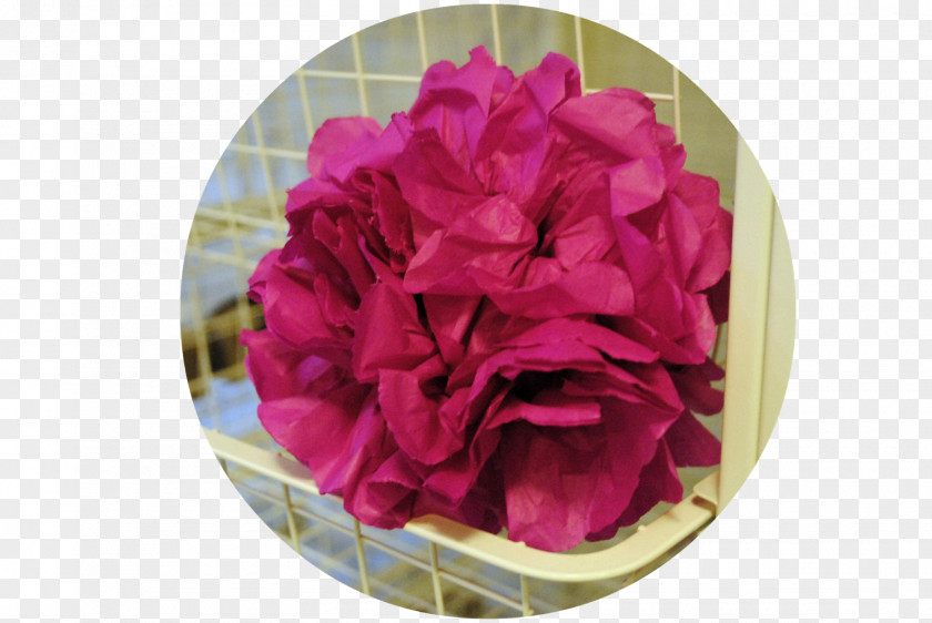 Peony Cabbage Rose Garden Roses Carnation Cut Flowers PNG