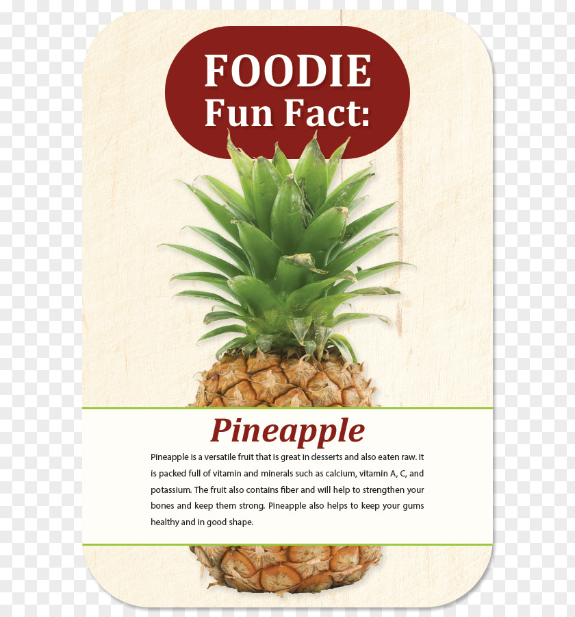 Pineapple Fruit Auglis Food Juice PNG