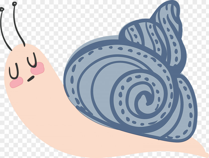 Slug Sea Snail Snails And Slugs Clip Art PNG