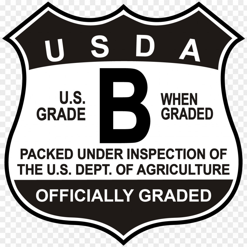 Various Types Of Lace United States Logo Label Grading In Education PNG