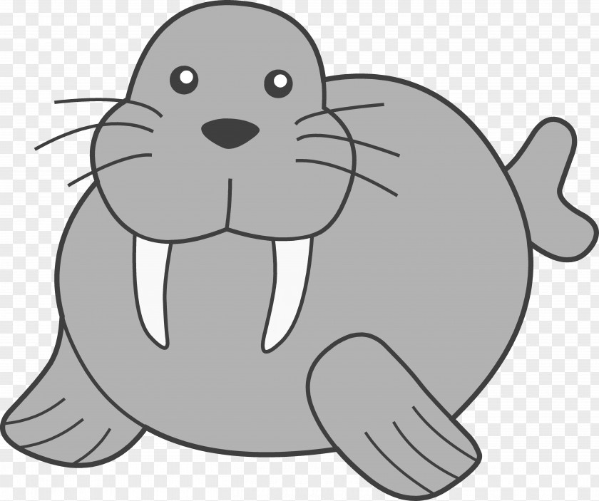 Walrus Pictures Free Content Tusk Clip Art PNG