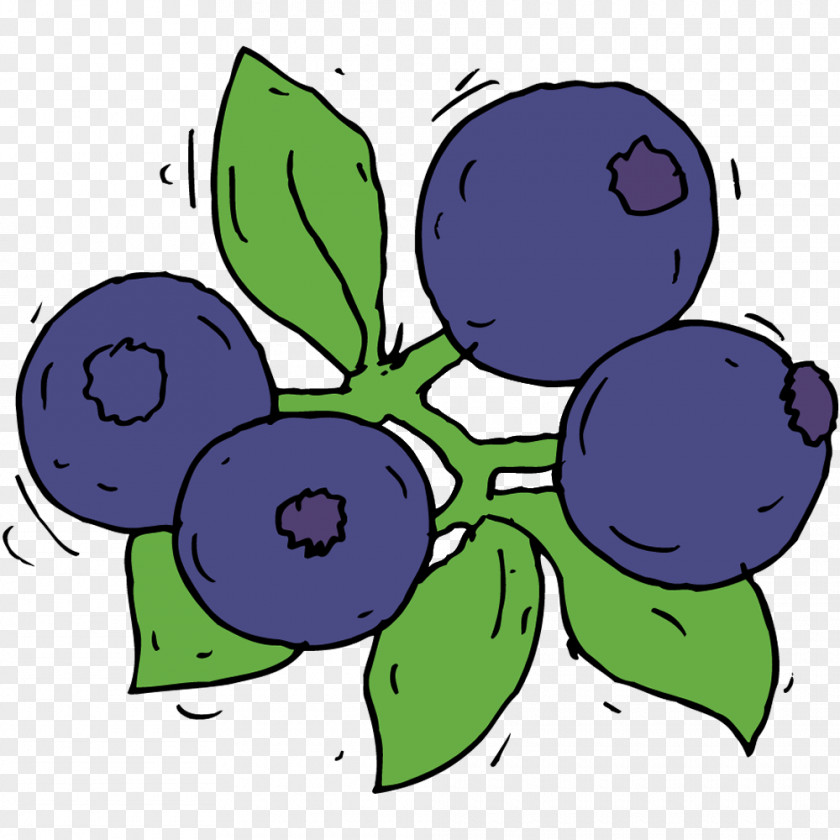 Blackberries Illustration Grape Clip Art Bilberry Blueberry Berries PNG