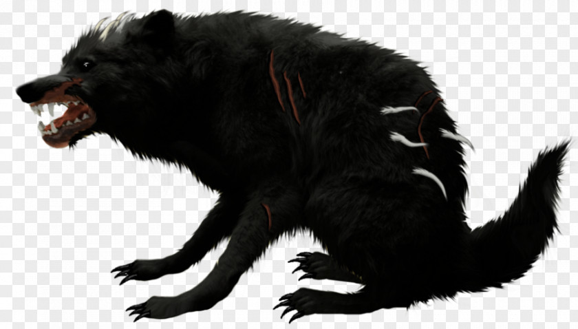 Dog Canidae Werewolf Snout Fur PNG