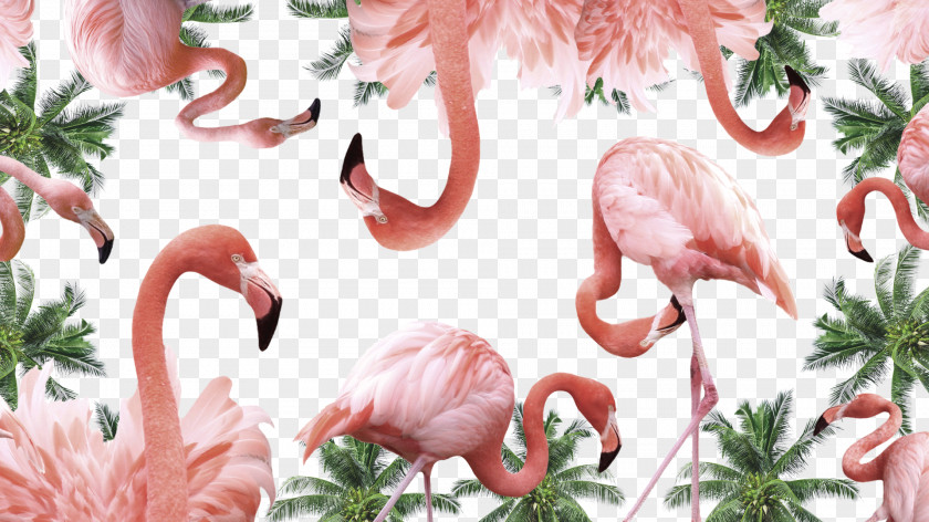 Flamingo Fashion Blog Model Show Make-up Artist PNG