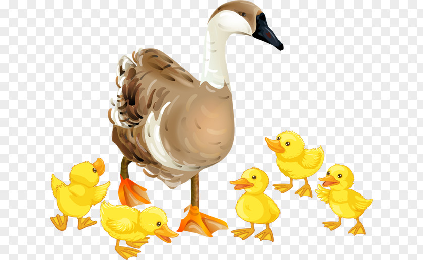 Goose Domestic Clip Art PNG