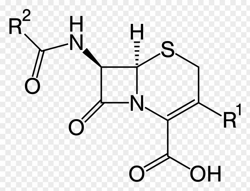 Lactam Cephalosporin β-lactam Antibiotic Cephamycin Cephem Beta-lactam PNG