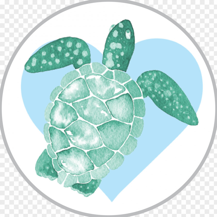 Plant Reptile Sea Turtle Background PNG
