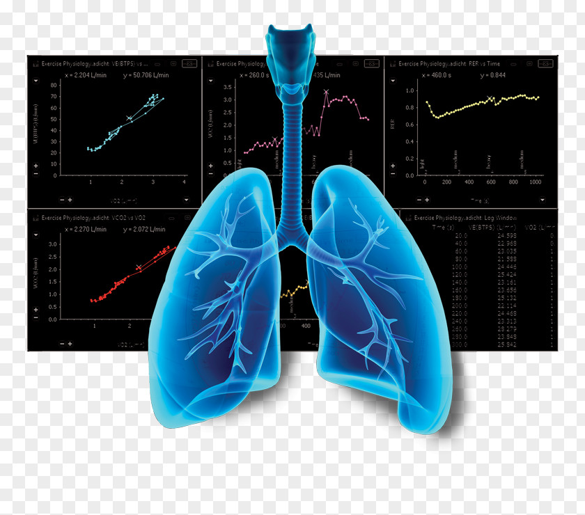 Respiratory Photography Lung PNG