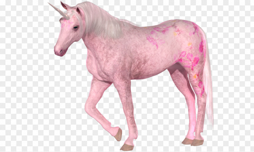 Unicorns Invisible Pink Unicorn Horse PNG