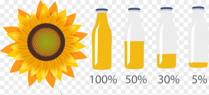 Vector Hand Painted Sunflower Oil Common Seed PNG