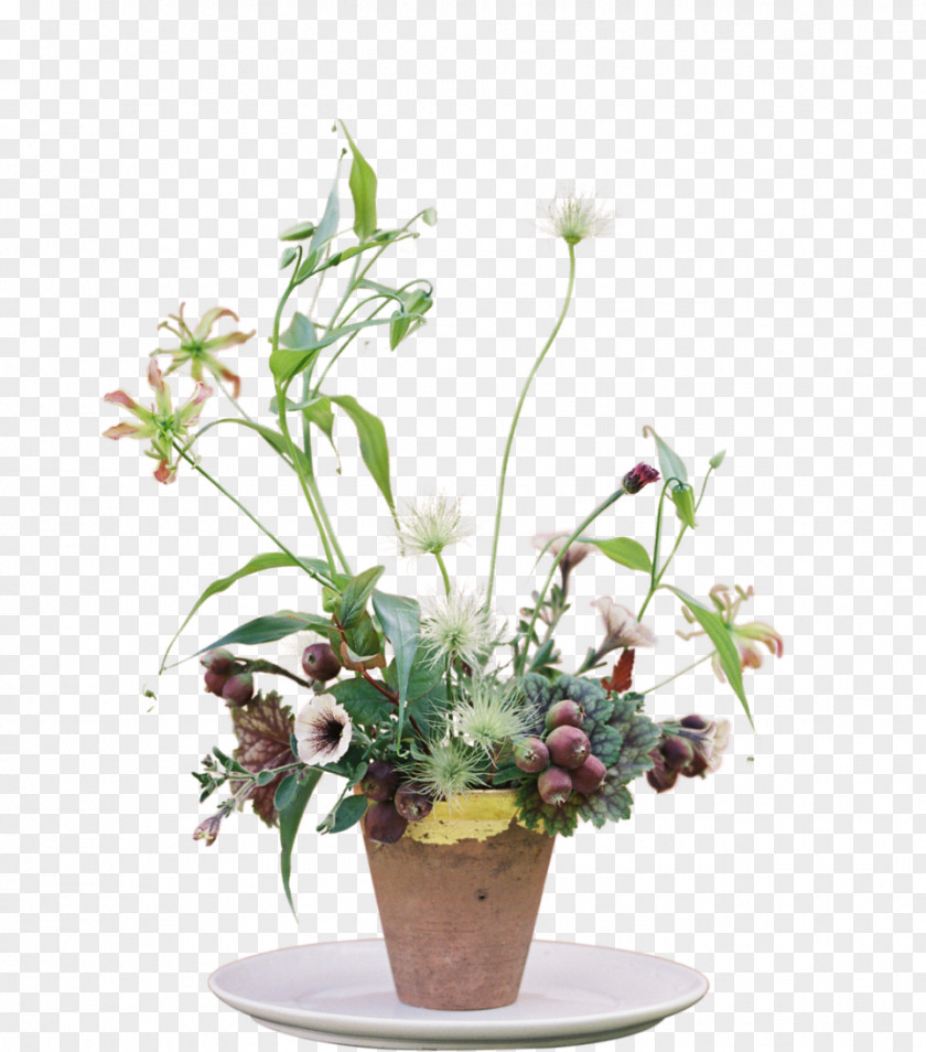 Anthurium Bouquet Floral Flower Background PNG
