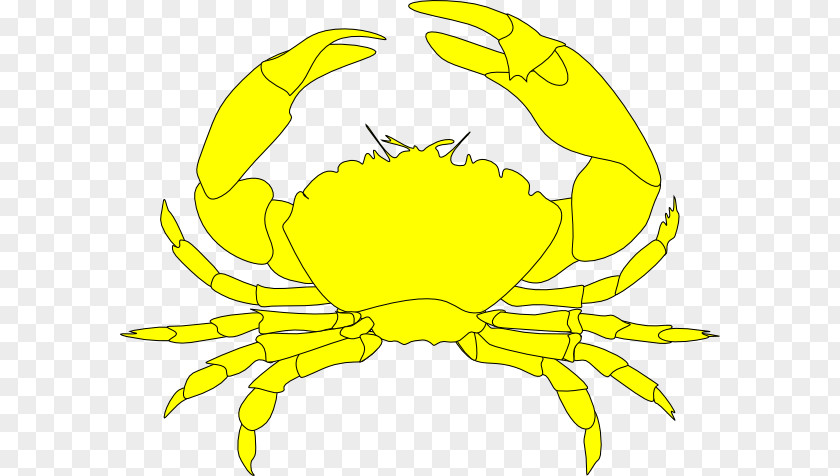 Crab Dungeness Yellow Nagatinskaya Ulitsa Clip Art PNG