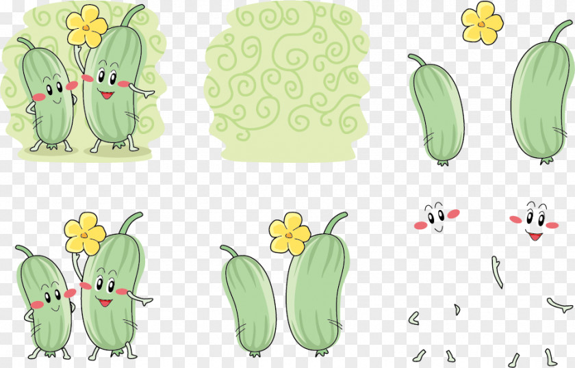 Melon Expression Vector With Flowers Broccoli Sponge Gourd Illustration PNG