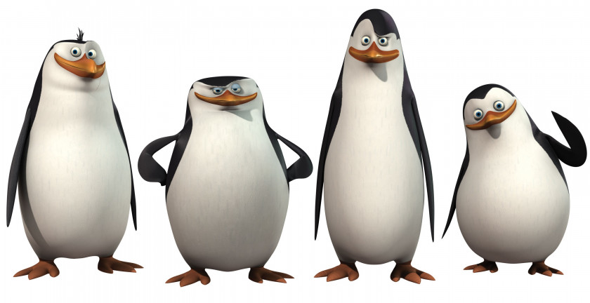 Penguin Kowalski Skipper Madagascar Film PNG