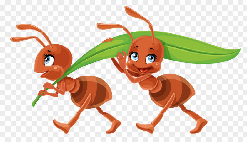 Smith Ant Orman Vector Graphics Royalty-free Stock Photography Image PNG