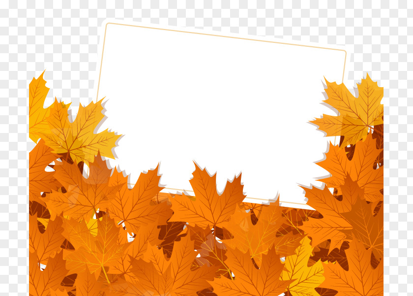 Autumn Vector Material Leaf Color Royalty-free PNG