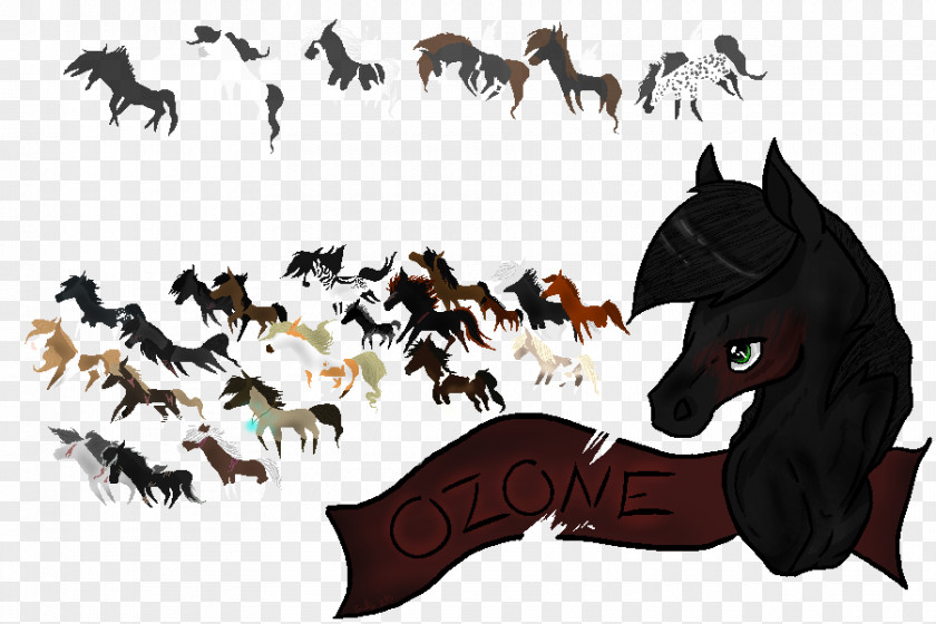 Horse Canidae Dog Cartoon PNG