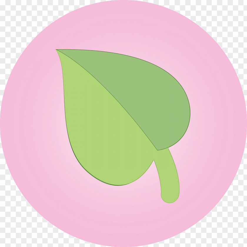 Pink Leaf Plate Plant Circle PNG