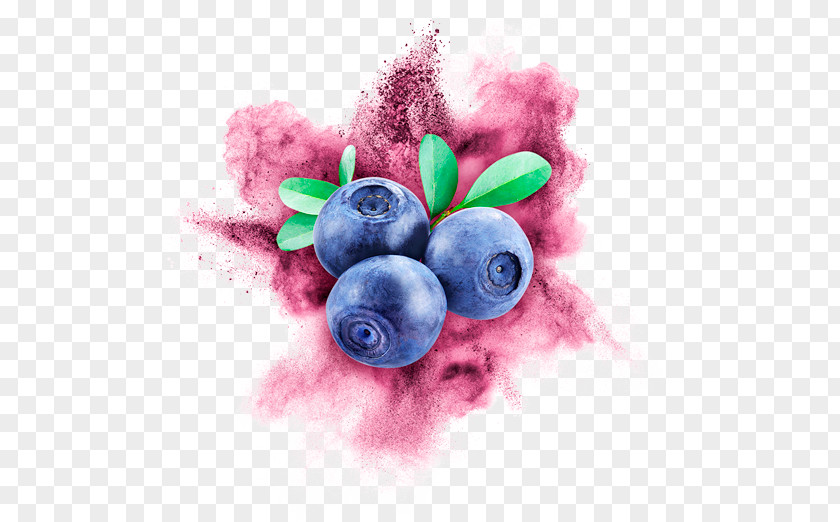 Wild Berry United States Bilberry Cry Baby Photography Desktop Wallpaper PNG