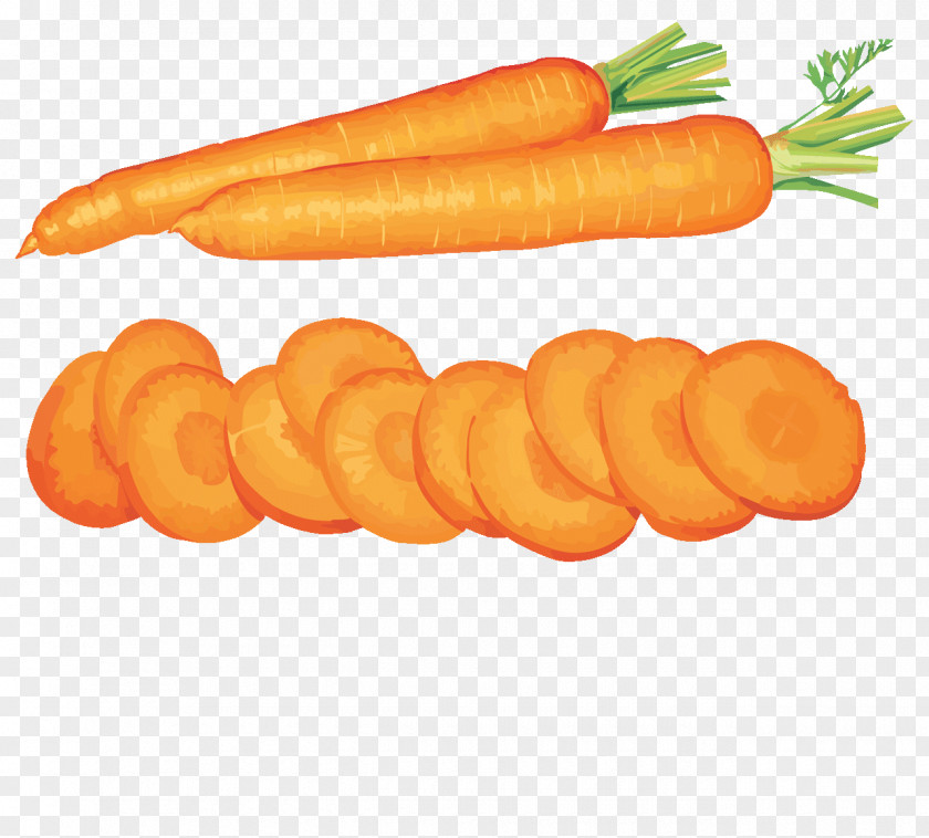 Carrots Clipart Carrot Vegetable Fruit Clip Art PNG