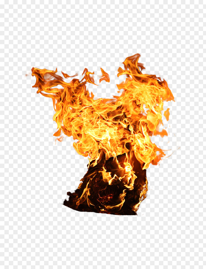 Fire Image Clip Art PNG