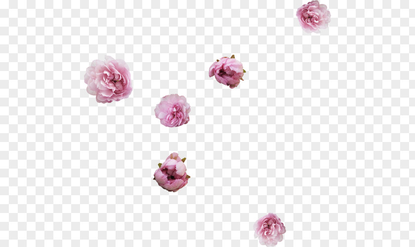 Floating Peony Flower Drawing Collage Clip Art PNG