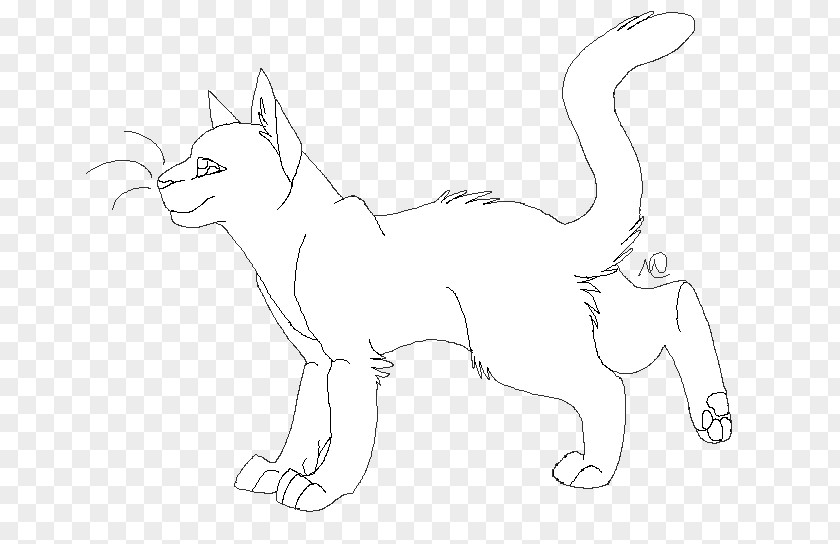 Frankly Whiskers Cat Fauna White Sketch PNG