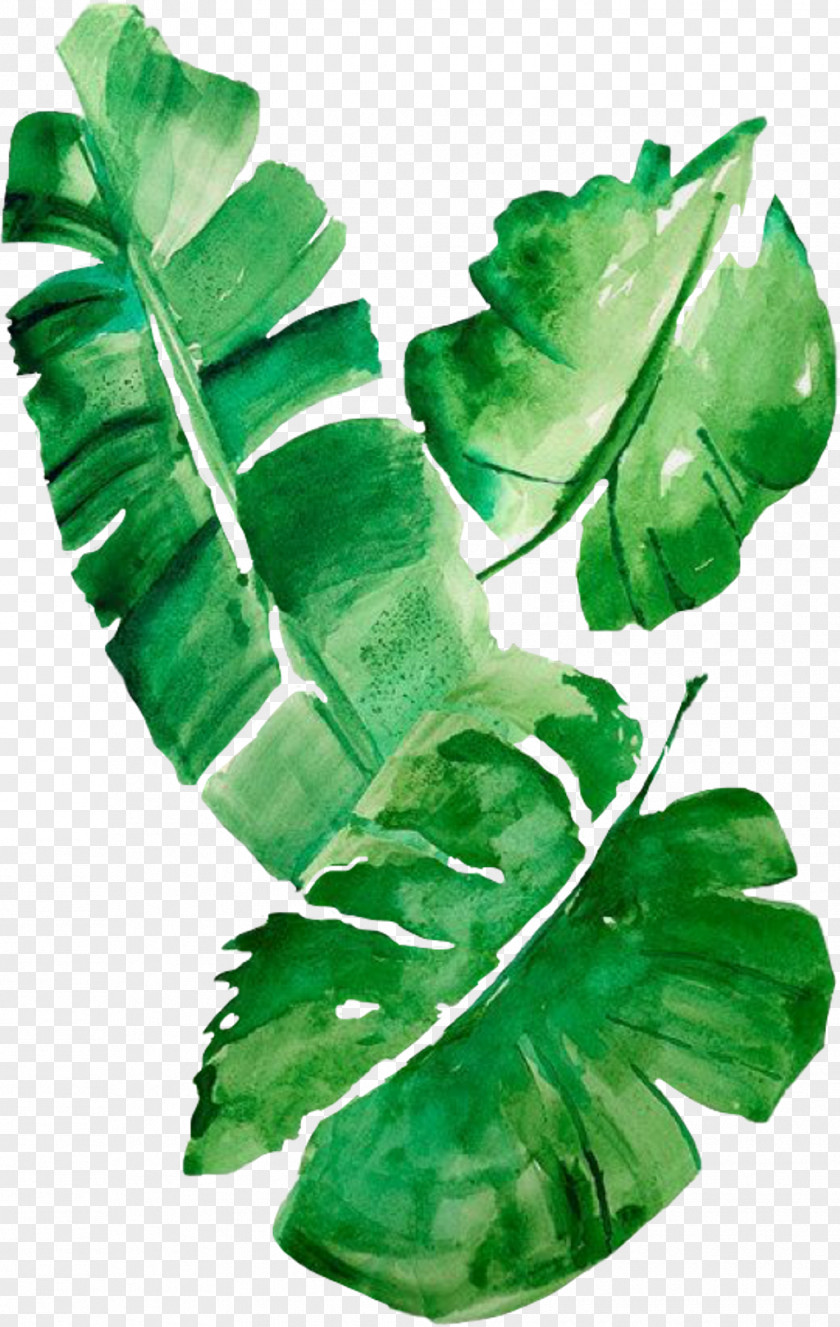 Green Leaves Spring Watercolor Painting Banana Leaf Art PNG