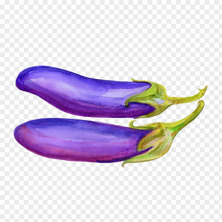 Hand-painted Eggplant Vegetable Drawing Illustration PNG
