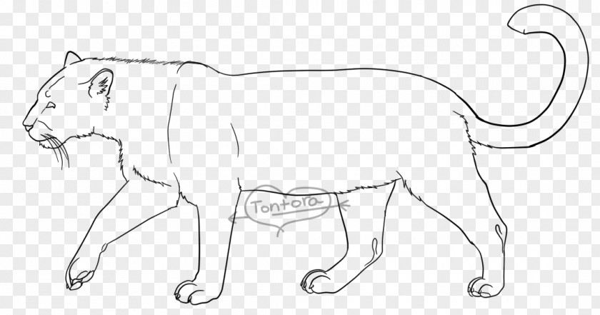 Lion Drawing Cat Whiskers Line Art PNG