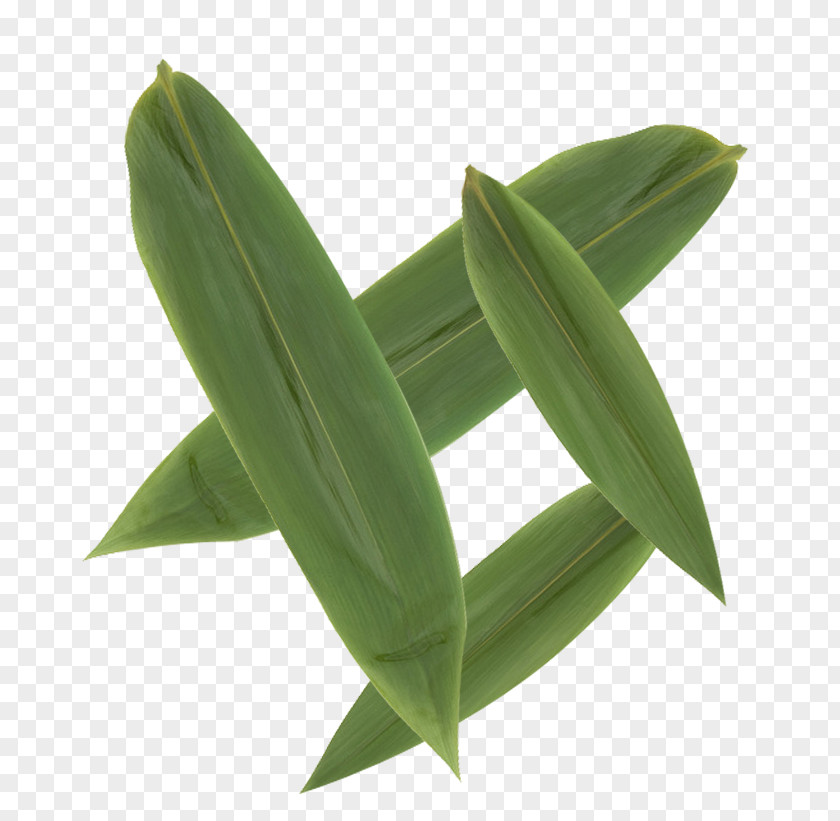 Multi-slice Bamboo Leaves Leaf PNG