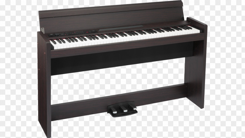 Piano Digital Musical Instruments Keyboard Korg PNG