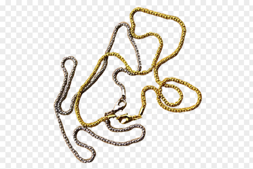 Skin Snake Body Jewellery Chain Animal Font PNG