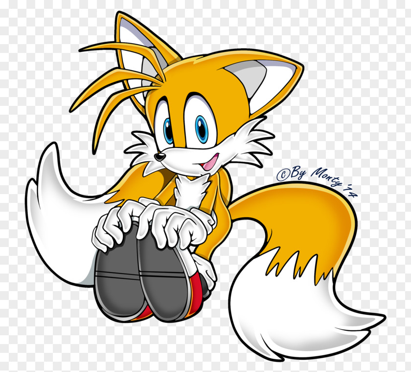 Tails Shadow The Hedgehog Sonic Advance Art PNG