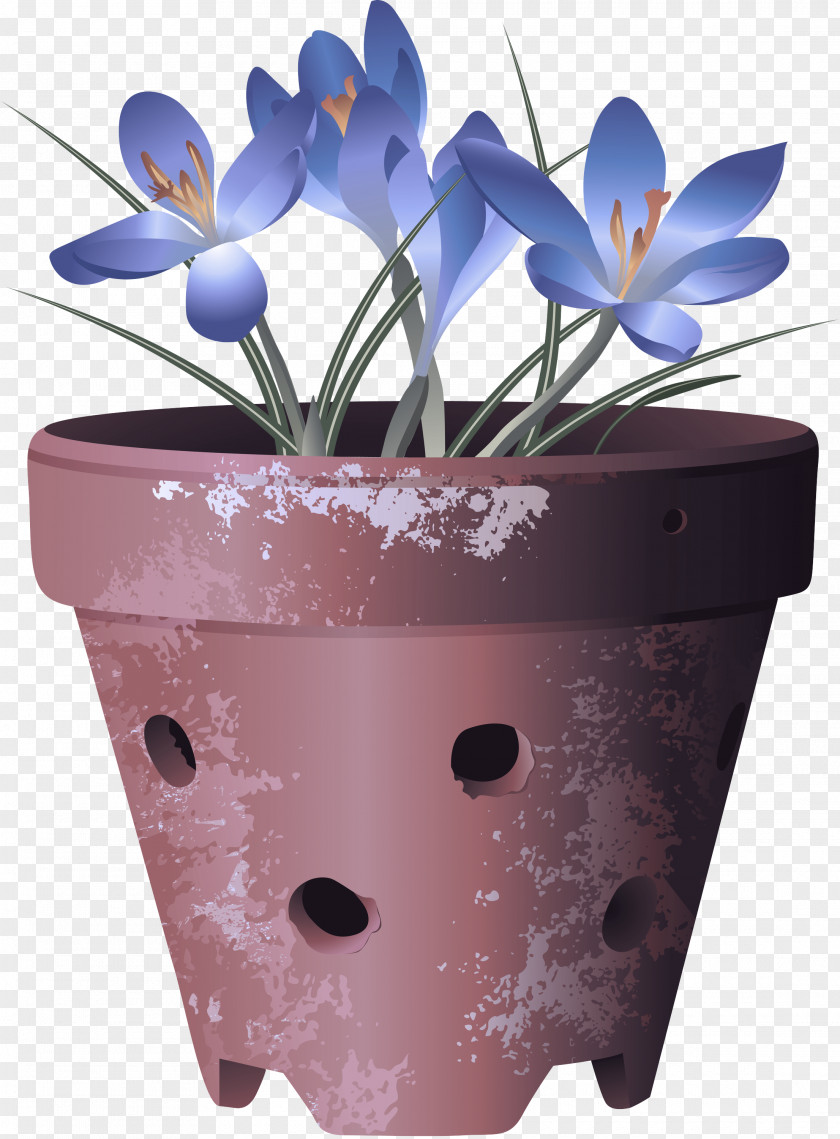 Tulip Crocus Flowerpot Flower Plant Petal Flowering PNG