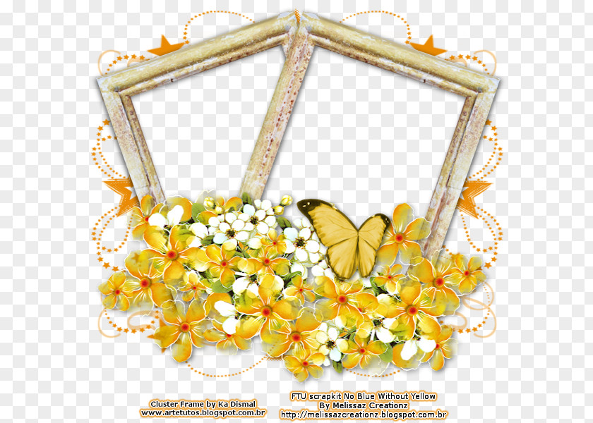 Yellow Crown Frame Picture Butterfly Insect Pollinator Flower Invertebrate PNG
