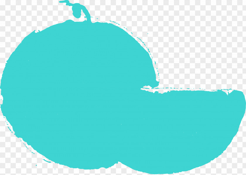 Aqua Green Turquoise Teal Logo PNG