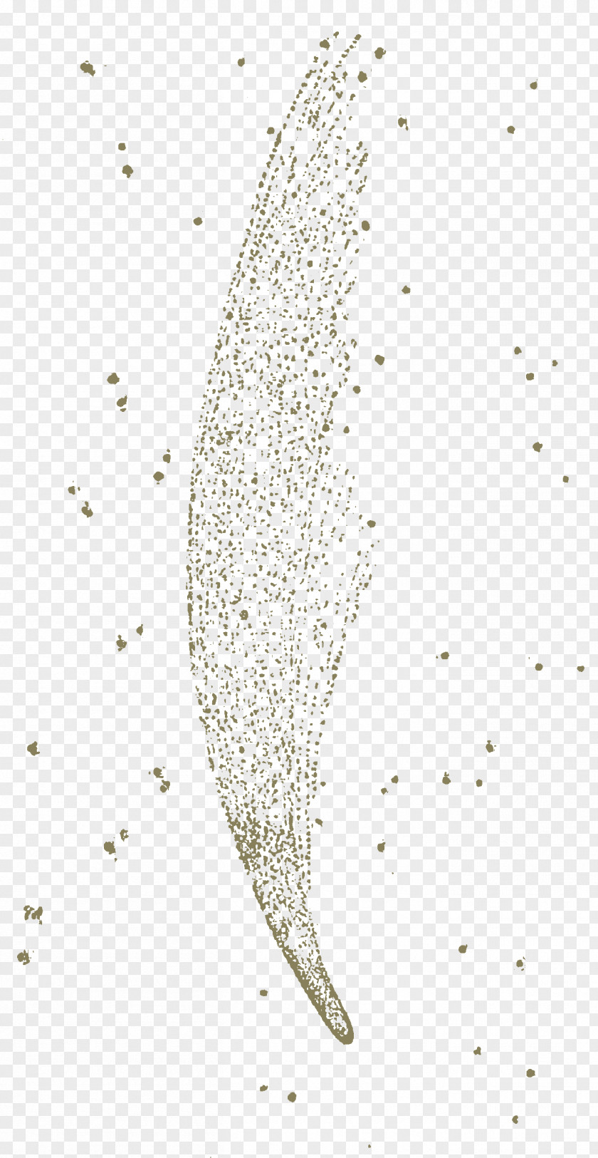 Comet Desktop Wallpaper Sky Organism Pattern PNG