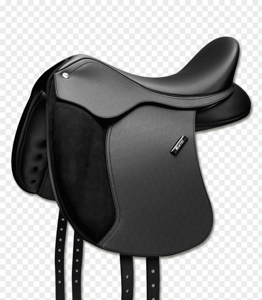 French Saddle Pony Dressage Equestrian PNG