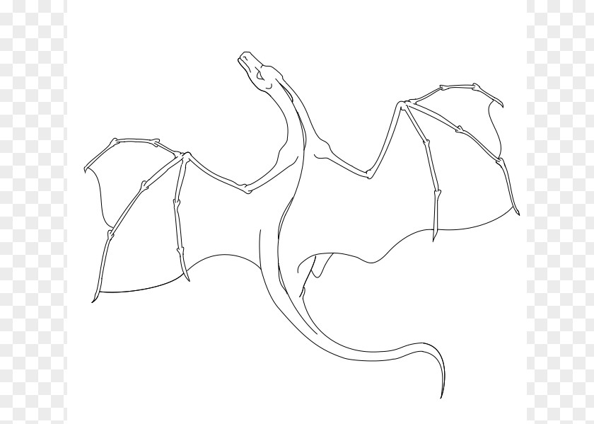 How To Draw A Flying Dragon Drawing Line Art Sketch PNG