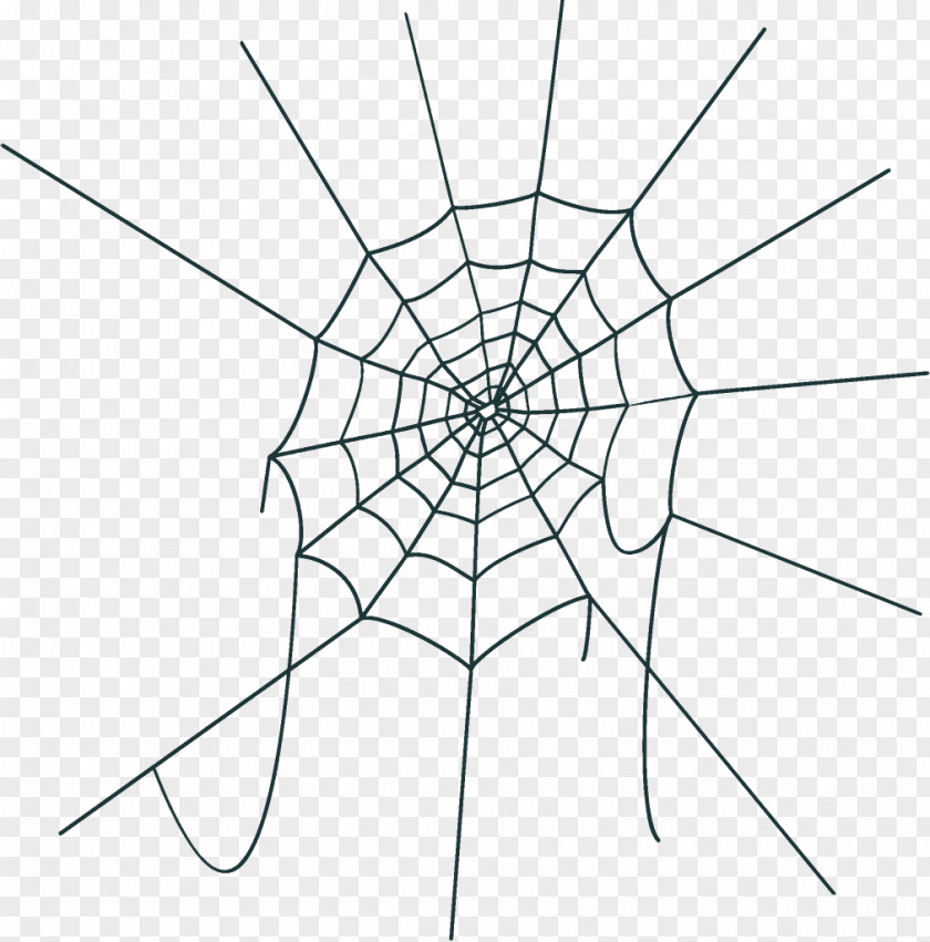Line Art Diagram Spider Web Halloween PNG