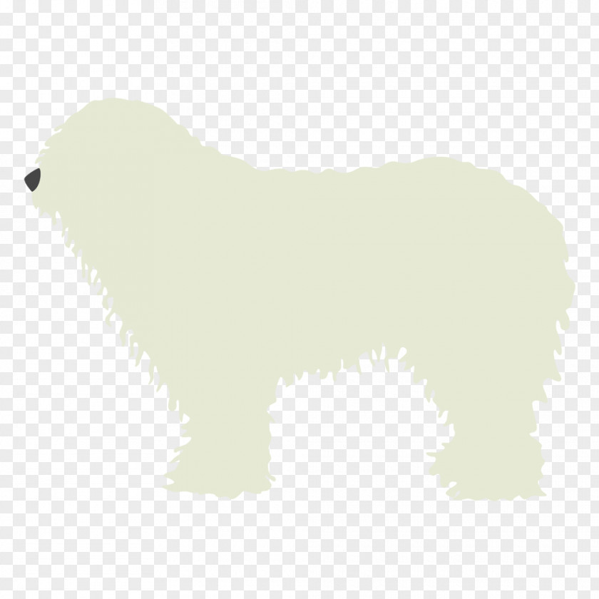 Polar Bear Dog Breed Snout PNG