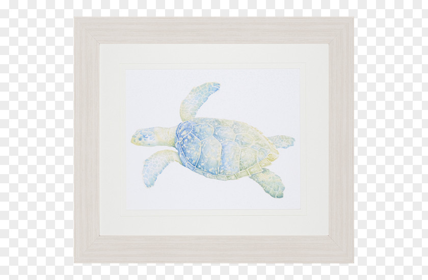 Turtle Sea Printmaking Art 05774 PNG