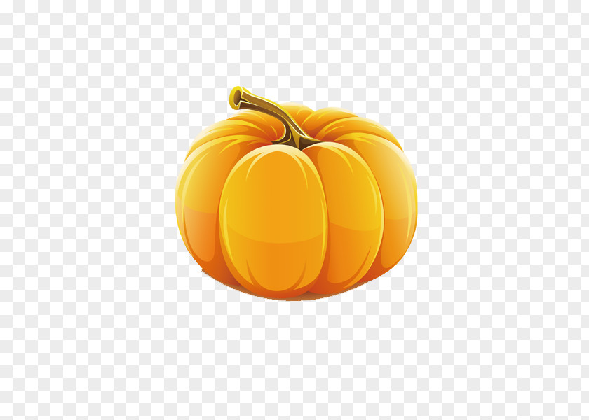 A Big Yellow Pumpkin Calabaza Great Clip Art PNG