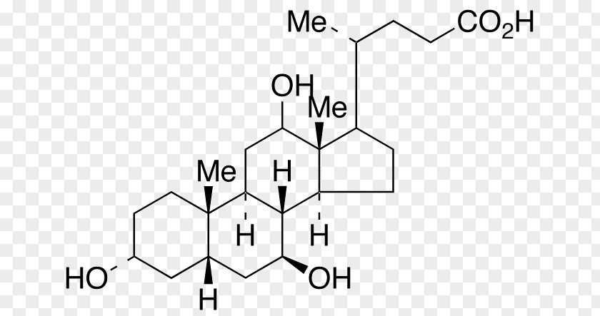 Chenodeoxycholic Acid Lithocholic Ester Paper PNG