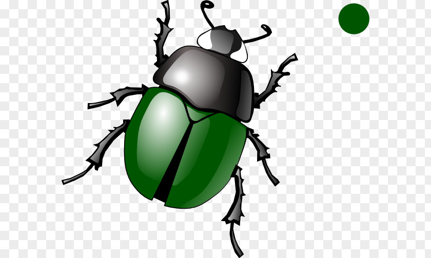 Click Bug Beetle Clip Art Openclipart Illustration Scarabs PNG