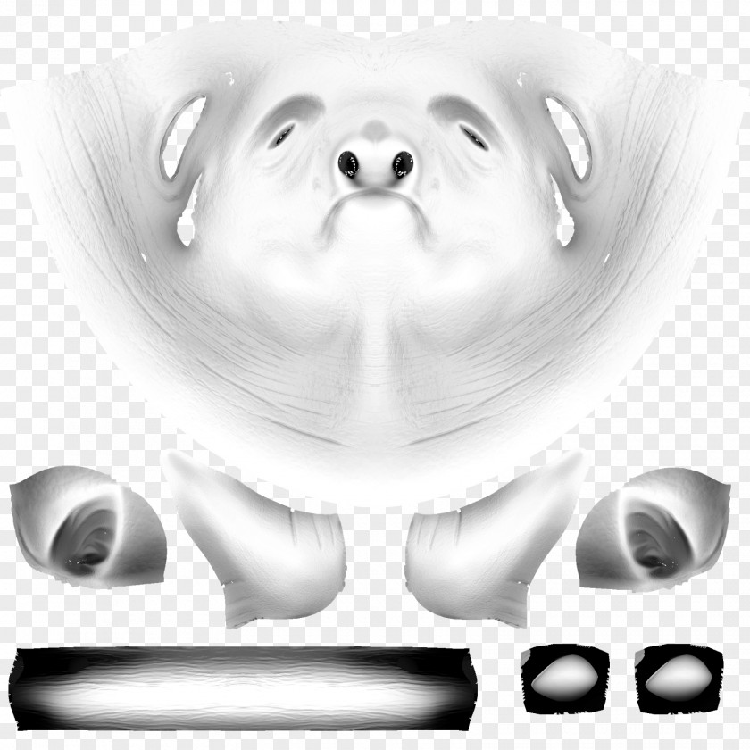 Dog Tooth Snout Drawing Jaw PNG