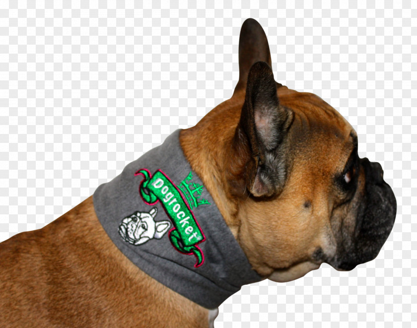 Hunde Dog Breed Boxer Collar Dogrocket Snout PNG